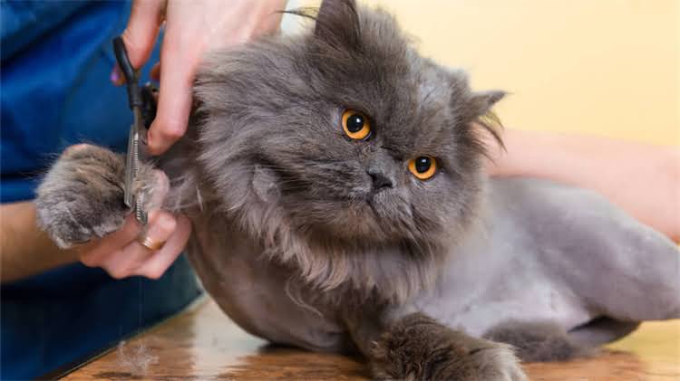 图片 🌊✨阿拉斯加必去理由｜小众玩法+隐藏彩蛋全公开！附全年最佳旅行时间攻略2.jpg