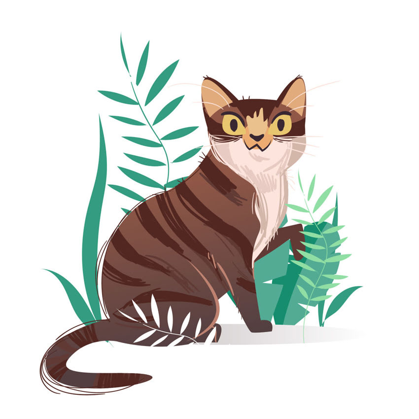 图片 🐾萨摩耶怀孕时间全攻略｜从备孕到生产的120天全记录✅新手养狗必看1.jpg