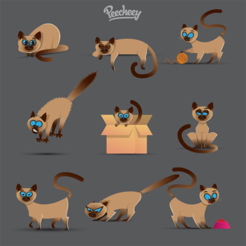 图片 🐾西安柯基犬购买全攻略｜正规犬舍+领养渠道+避坑指南最新版1.jpg