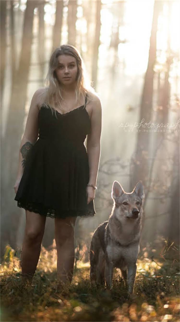 图片 💰训练一只狗要多少钱？不同犬种费用对比+家庭训练成本全🐾1.jpg