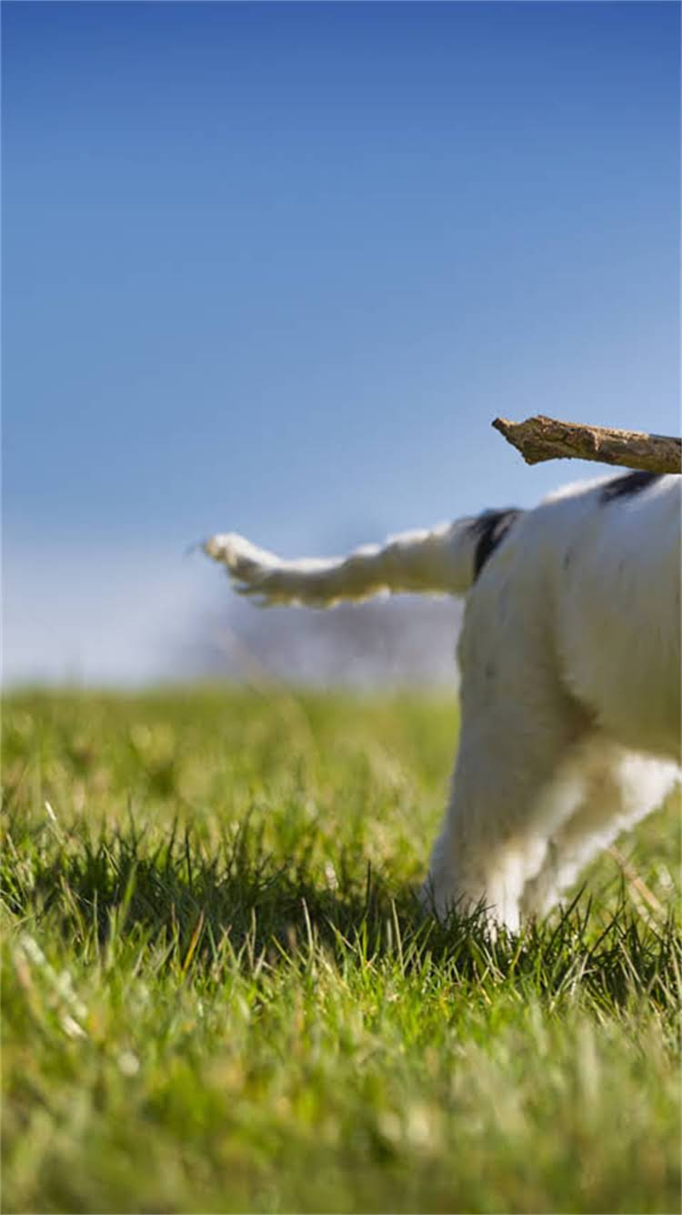 图片 🔥武汉猫粮批发市场推荐｜源头厂家+低价货源+月销10w+店铺都在用的选品攻略🔥2.jpg