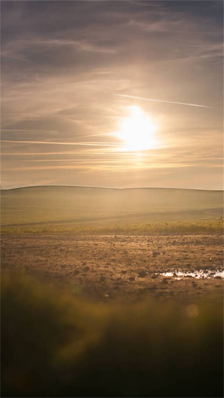 图片 🔥龙猫拒食拒便别慌！5步排查法教你快速拯救毛球健康2.jpg